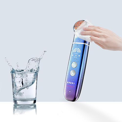 P003 Handheld Beauty Device
